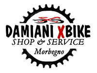Damiani X Bike